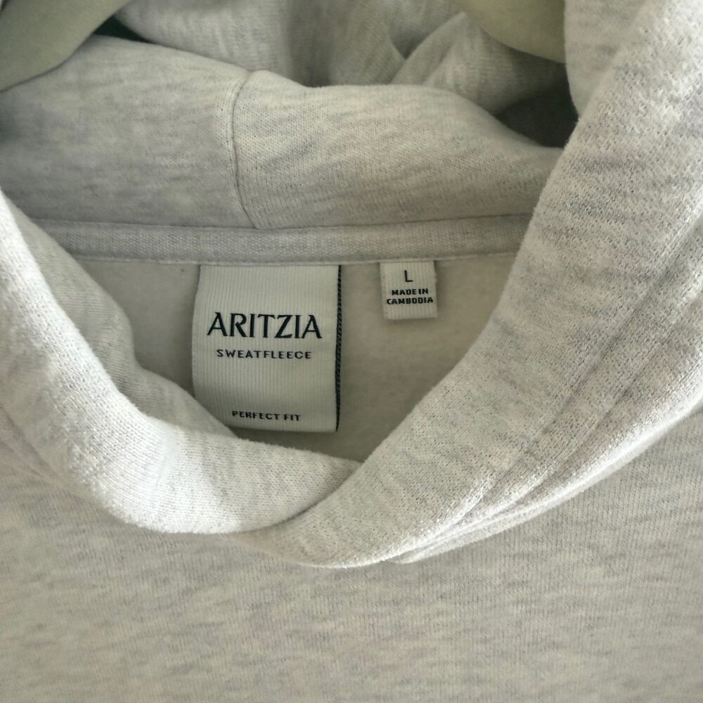 Aritzia Cozy Sweatfleece Perfect Hoodie - Picture 6 of 7
